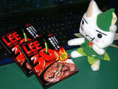 [20070608_B.jpg]
